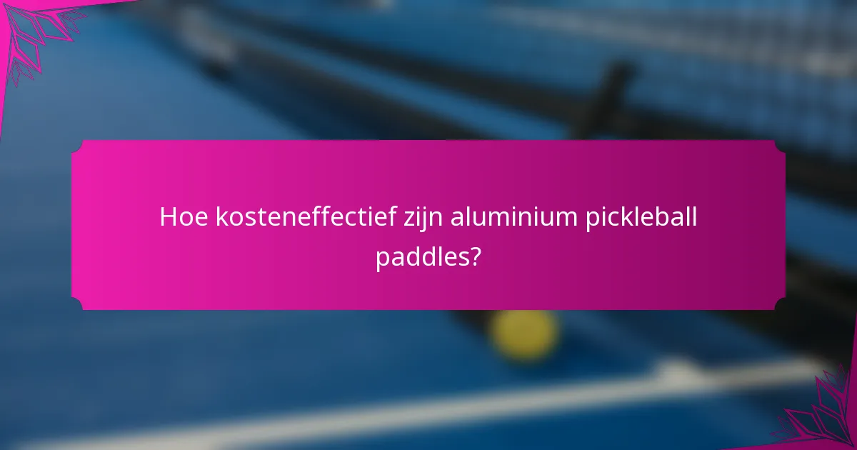 Hoe kosteneffectief zijn aluminium pickleball paddles?