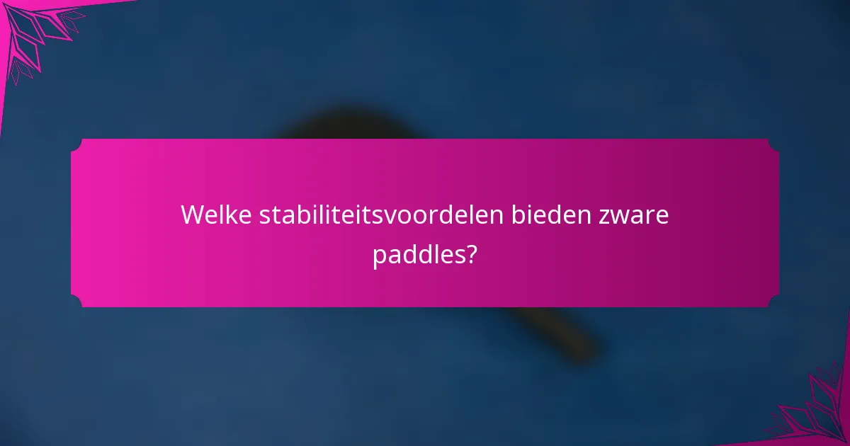 Welke stabiliteitsvoordelen bieden zware paddles?